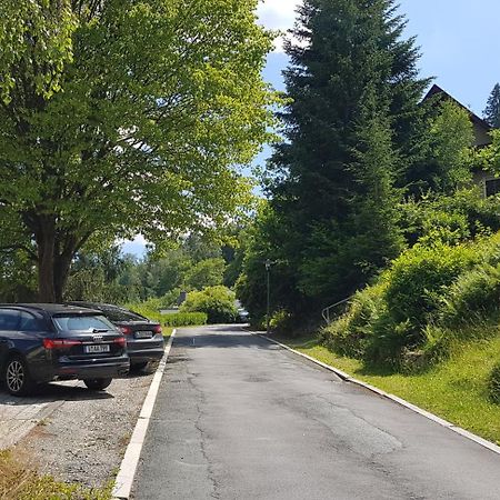 Villa Goldbrunnen Ferienwohnung 3 バート・エルスター エクステリア 写真