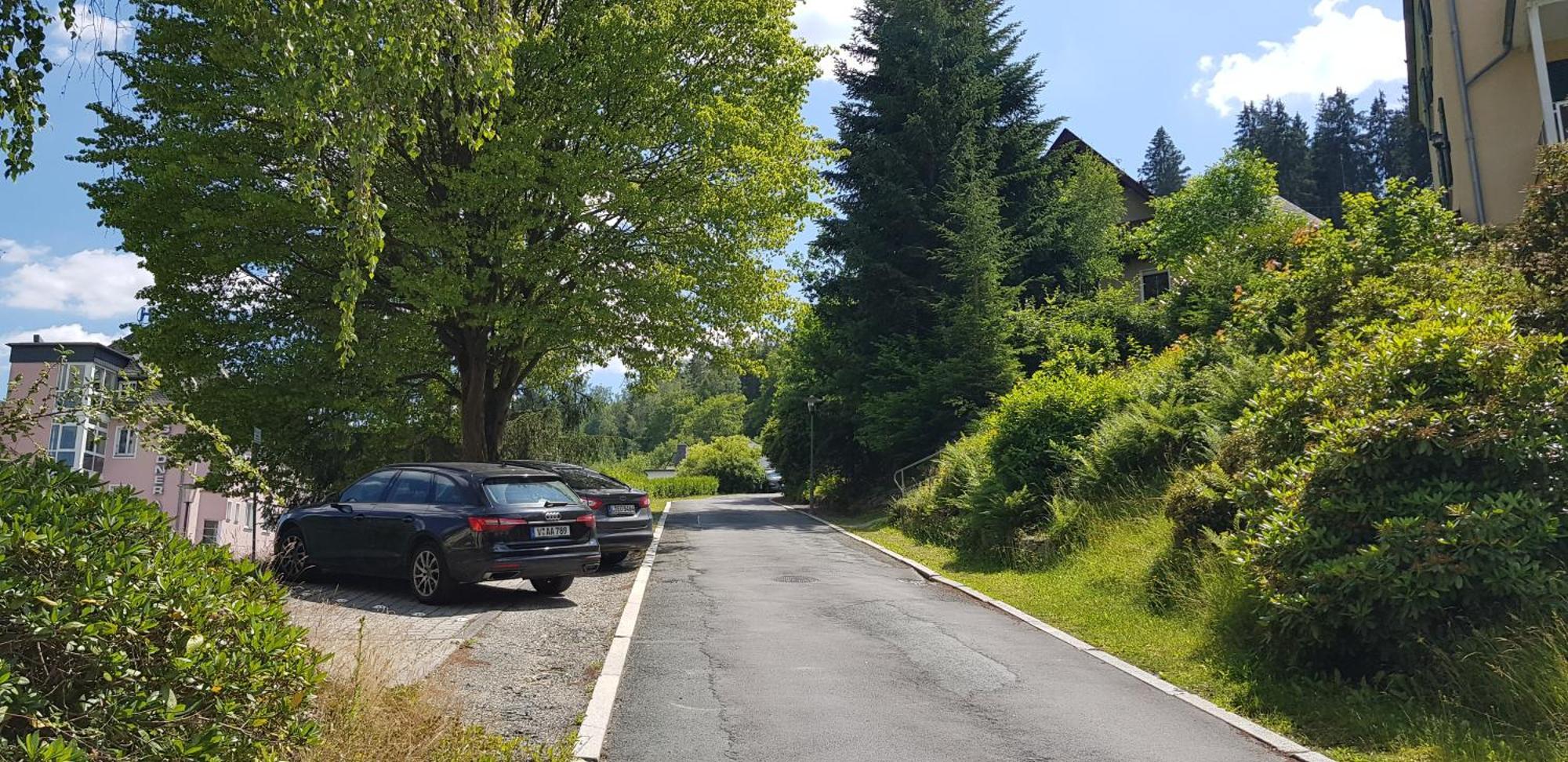 Villa Goldbrunnen Ferienwohnung 3 バート・エルスター エクステリア 写真