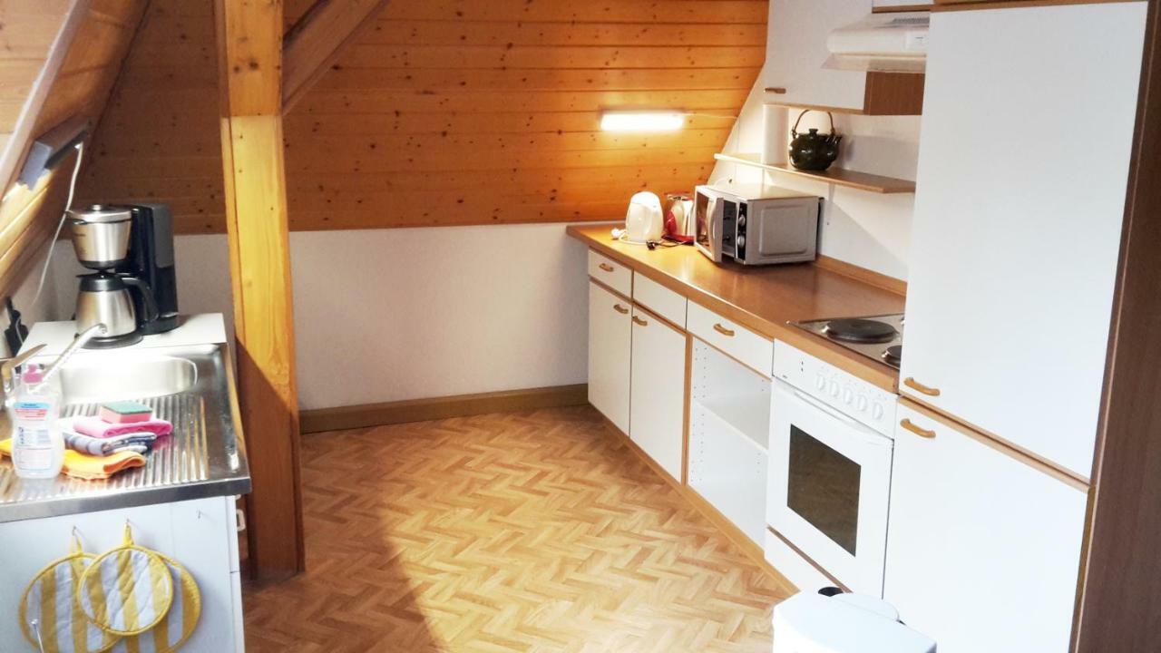 Villa Goldbrunnen Ferienwohnung 3 バート・エルスター エクステリア 写真