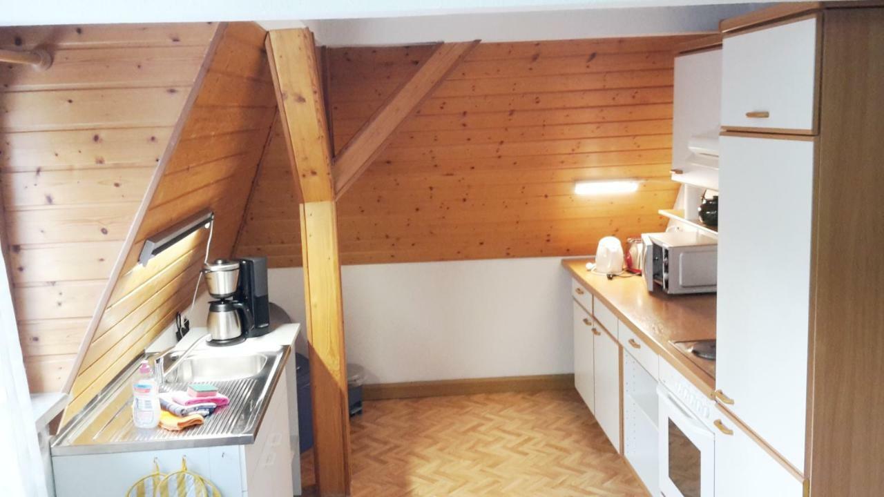 Villa Goldbrunnen Ferienwohnung 3 バート・エルスター エクステリア 写真